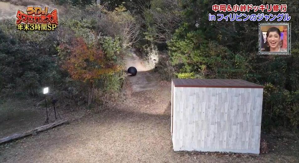 那些别开生面的整蛊玩法，让《整人大赏》在线观看滑梯成为日本综艺节目的经典